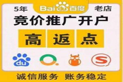 SEM代运营机构成功案例：优化策略与效果分析